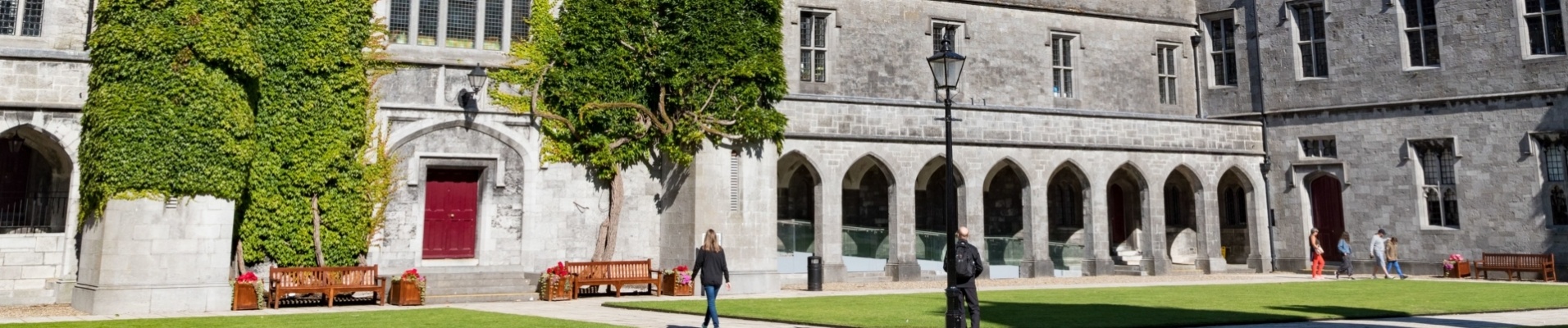 Université de Galway, Irlande