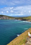 Côte entre Slea Head et Dunmore Head