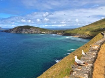 Côte entre Slea Head et Dunmore Head