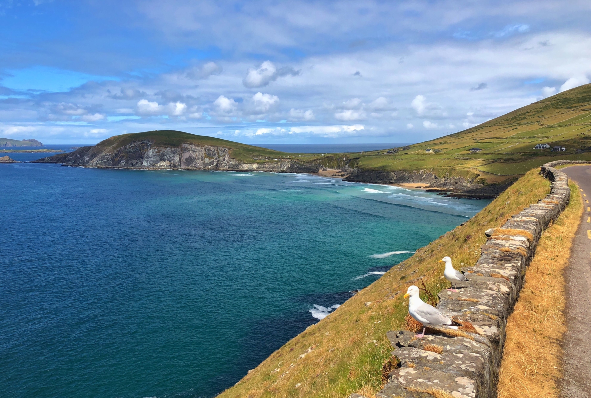 Côte entre Slea Head et Dunmore Head