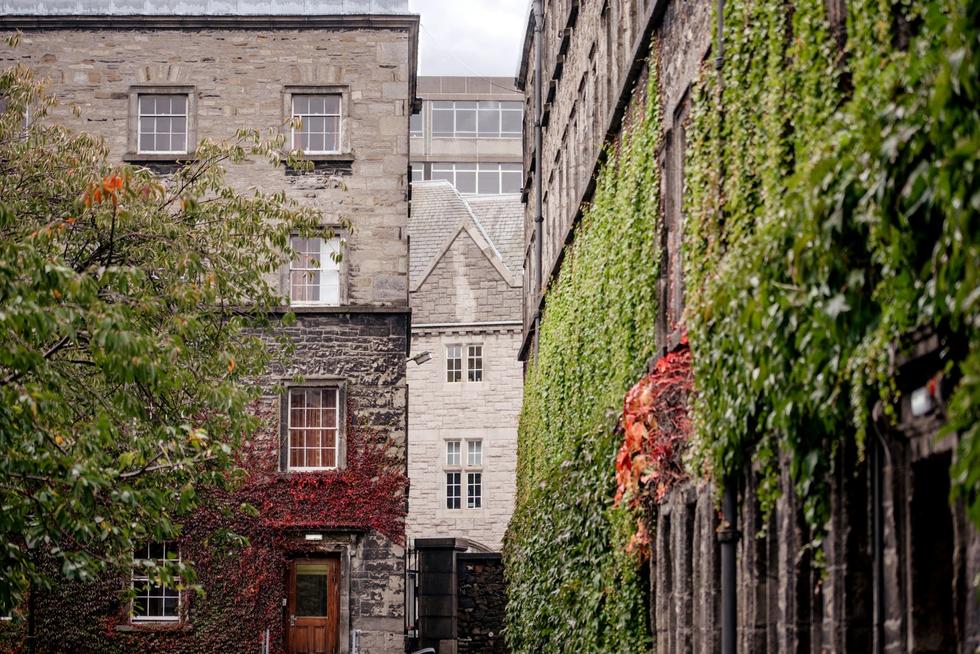 Dublin