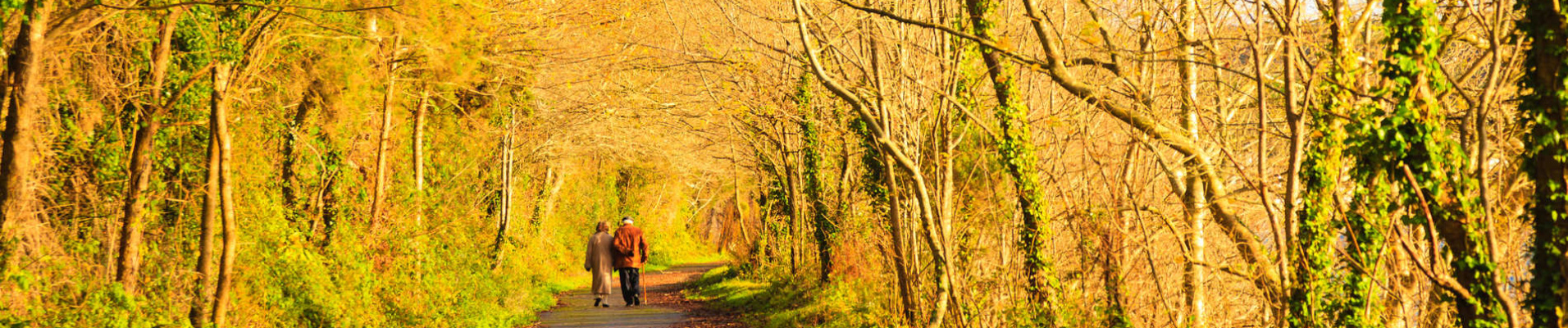 Couple marchant dans les sous-bois, Cork, Irlande