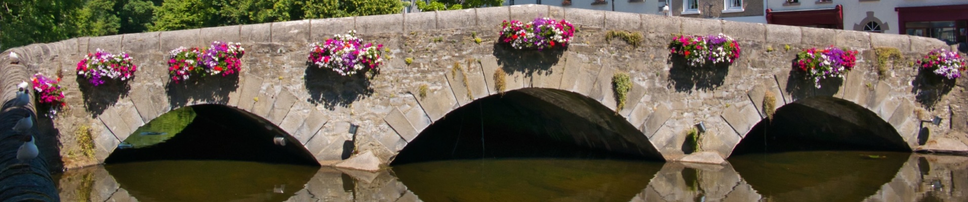 Pont Westport, Irlande