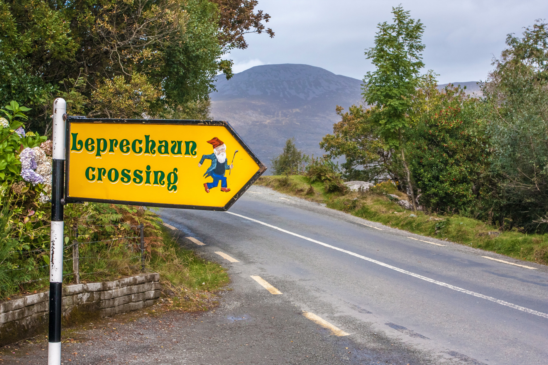 Leprechaun à Killarney, Irlande