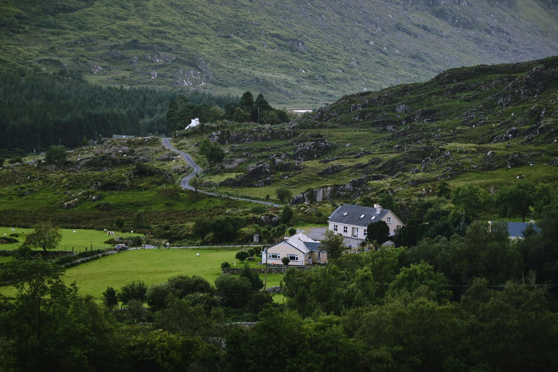 kerry-irelande-valerie
