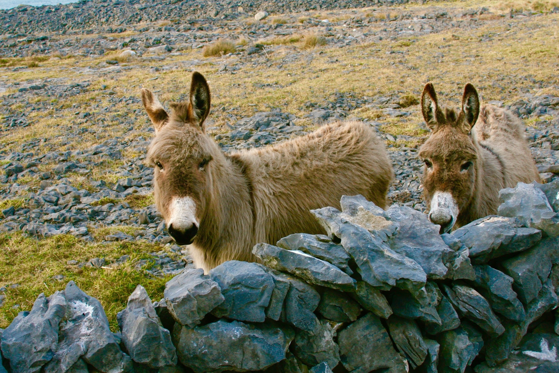 anes-iles-aran-irelande-adobe