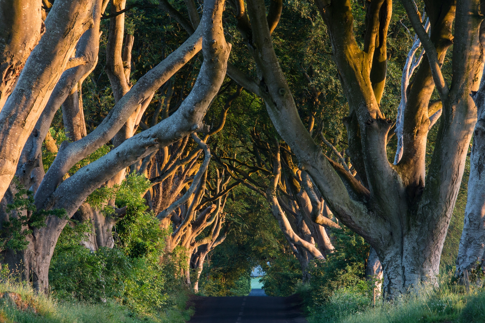 antrim-irlande-du-nord-adobe