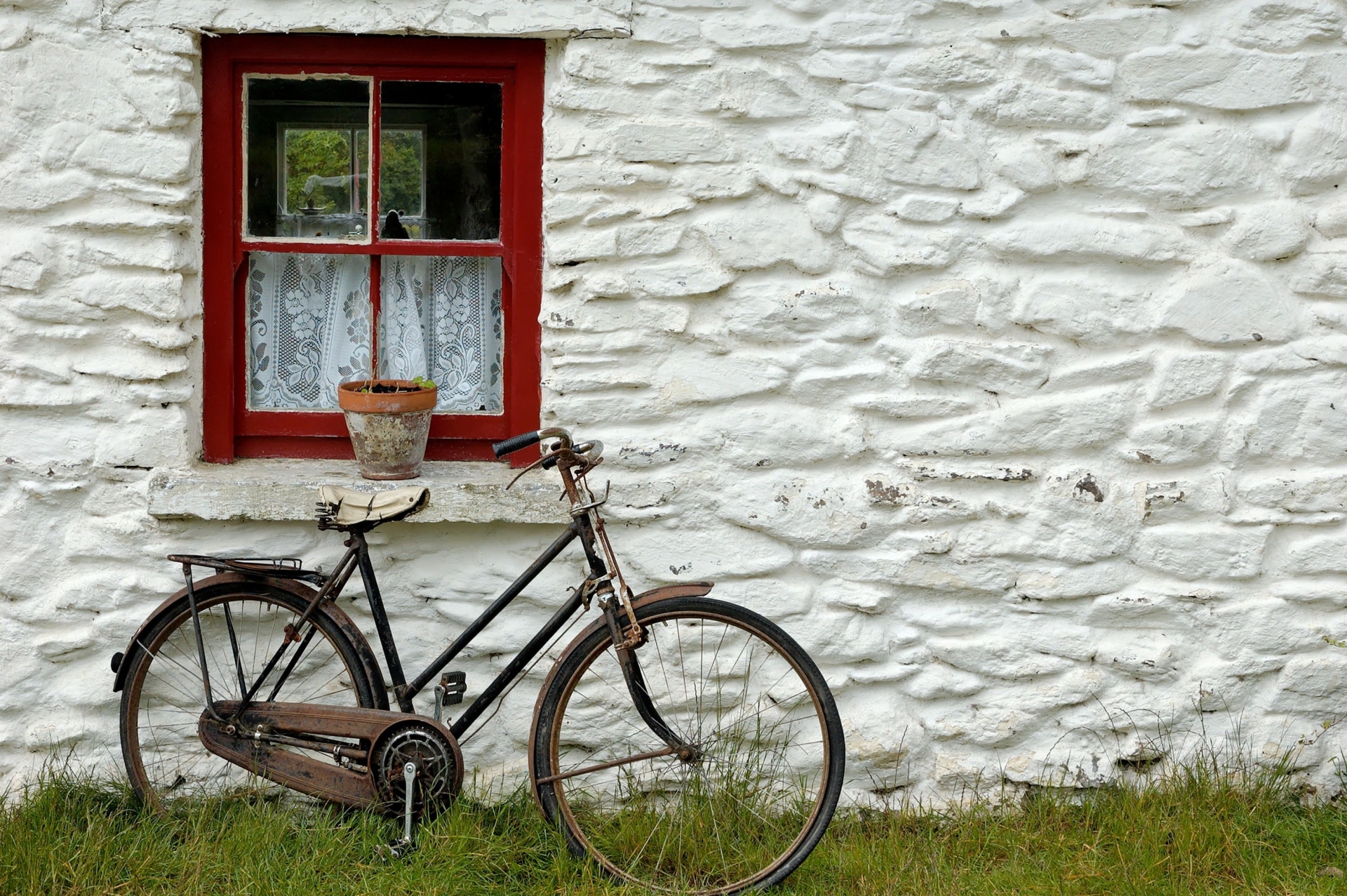 Charme irlandais