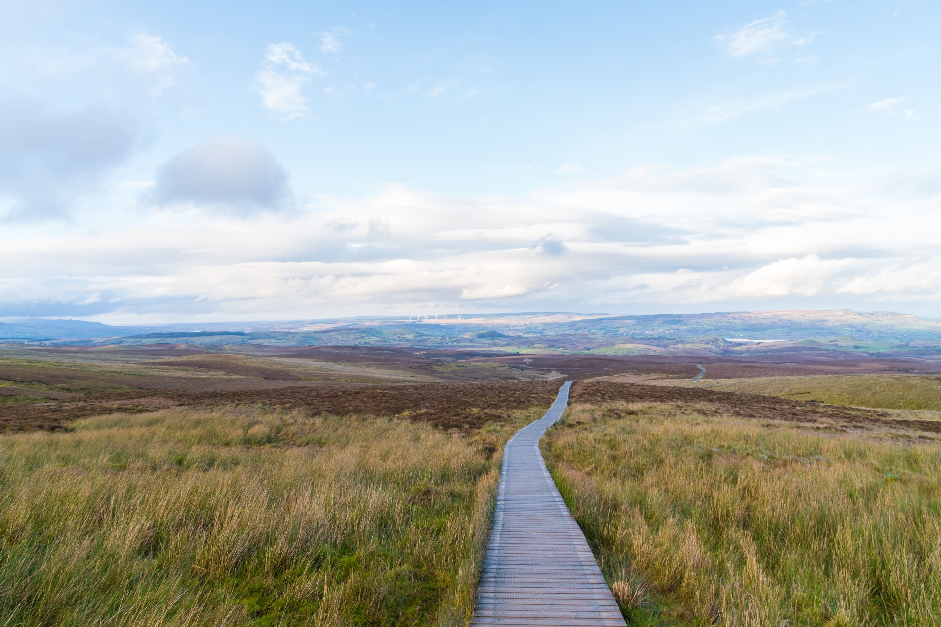 Fermanagh