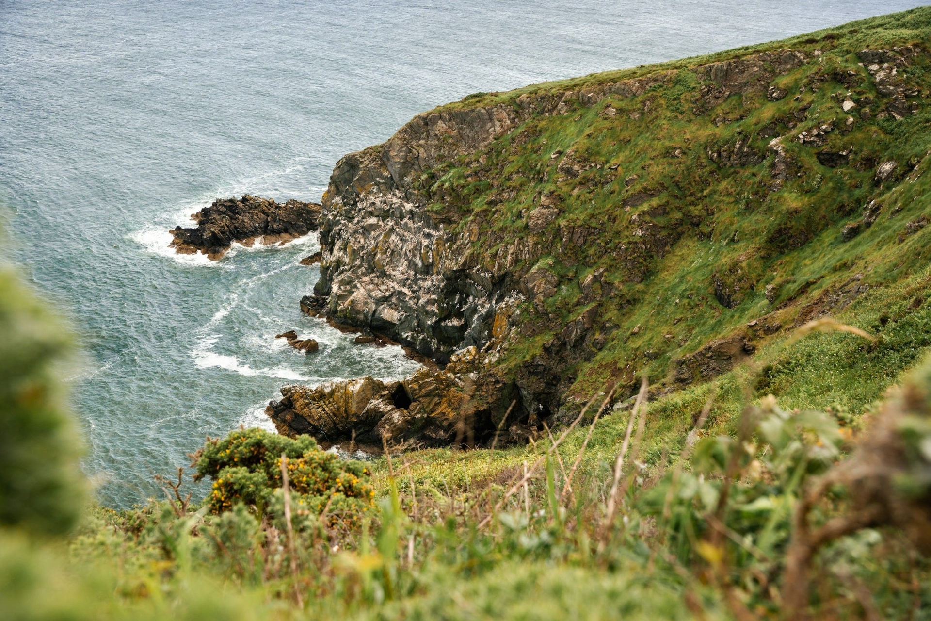 Côte d'Irlande, Dublin