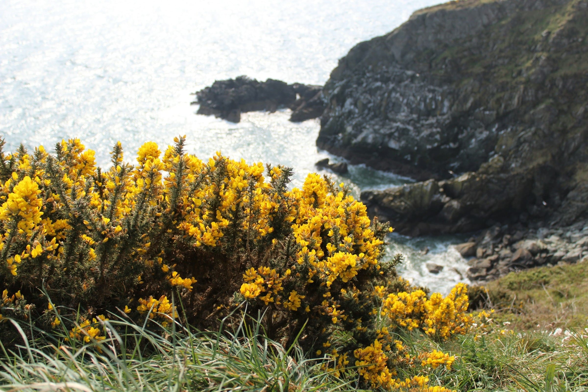 howth-irlande-caoimhe-staunton