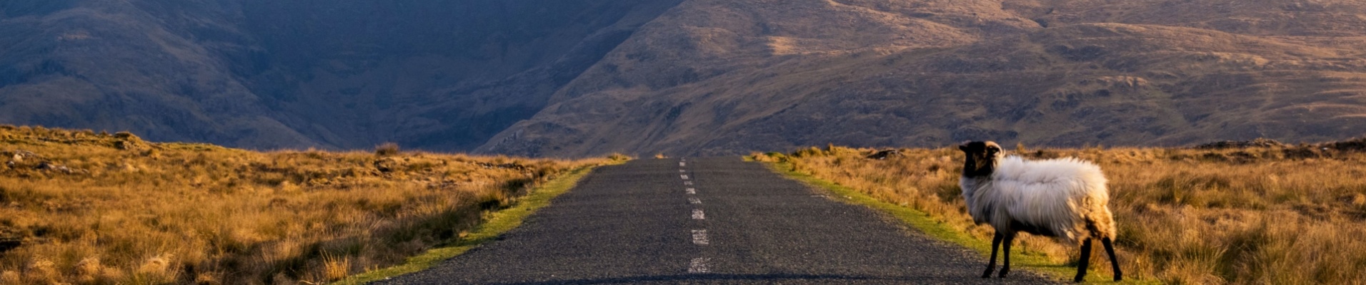 Route dans le Connemara, Irlande