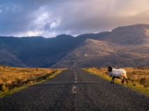 Route dans le Connemara, Irlande