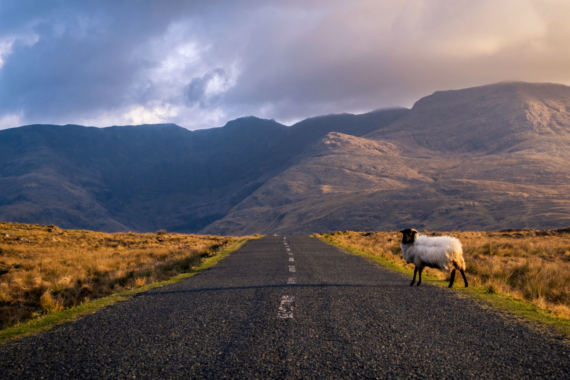 Route dans le Connemara, Irlande