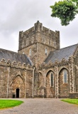 Cathédrale de St Brigitte, Kildare