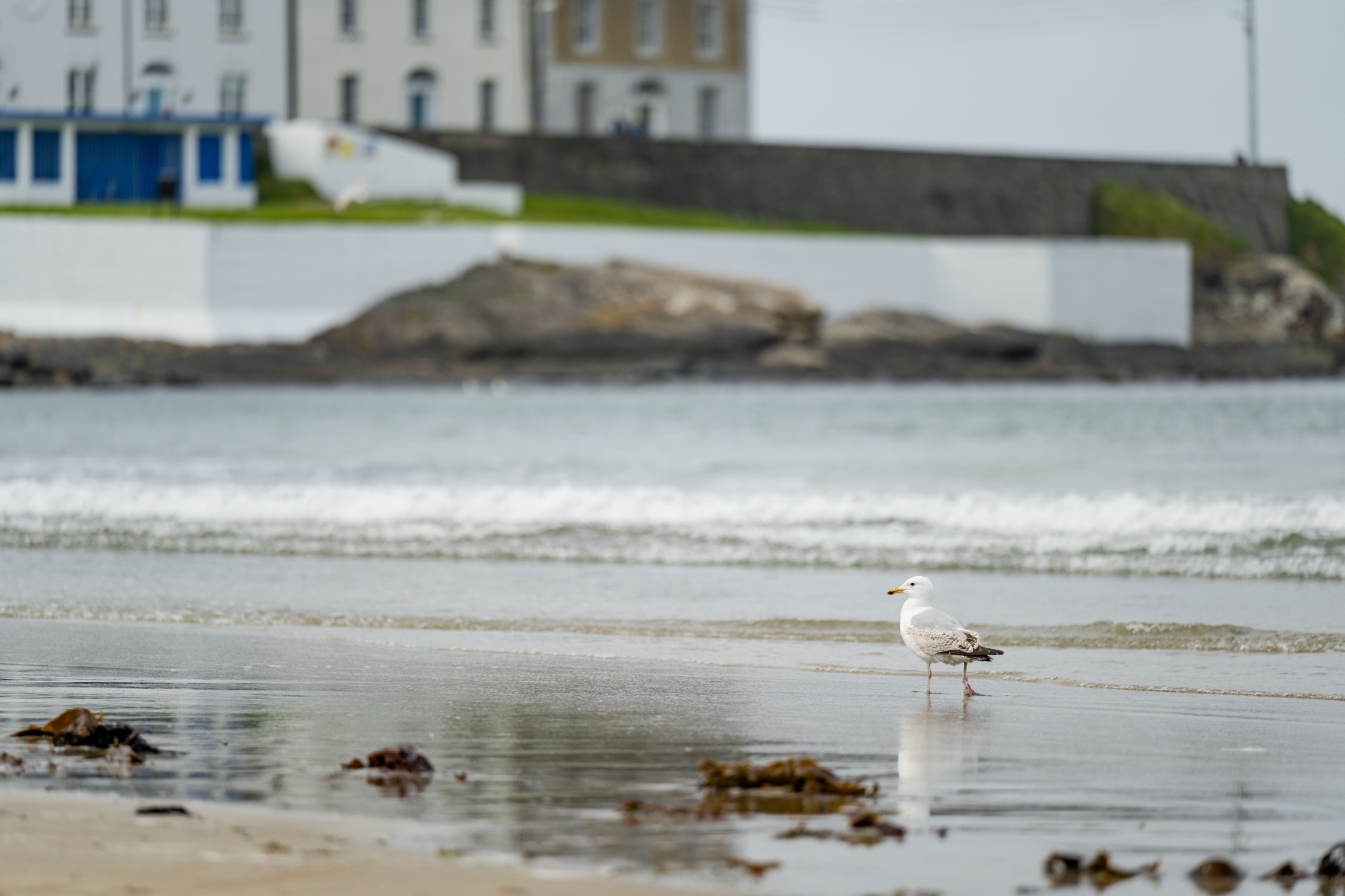 Plage de Kilkee