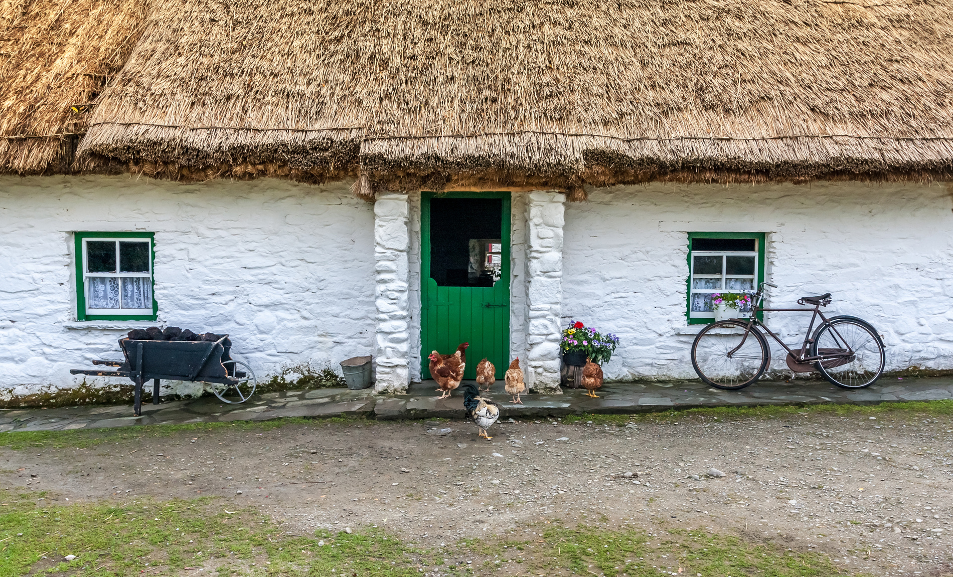 Poules devant un cottage irlandais