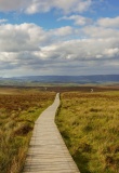 Parc national de Cuilcagh Moutains