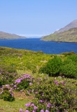 Killary Harbour