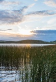 Parc national de Lough Key Forest