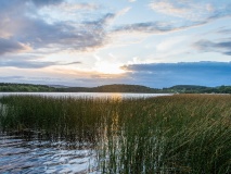 Parc national de Lough Key Forest