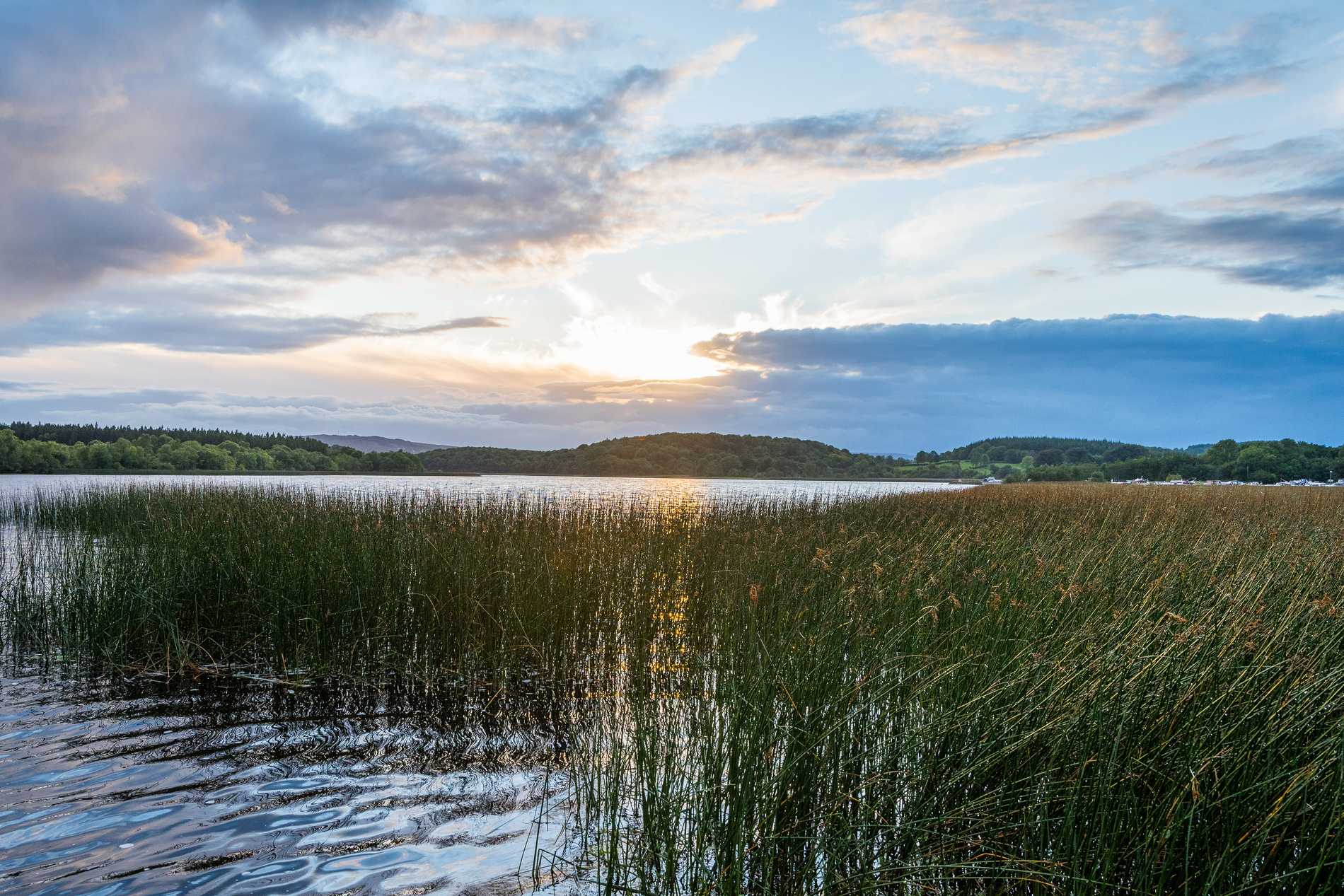 Parc national de Lough Key Forest