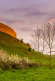 Roche Castle, comté de Lougth