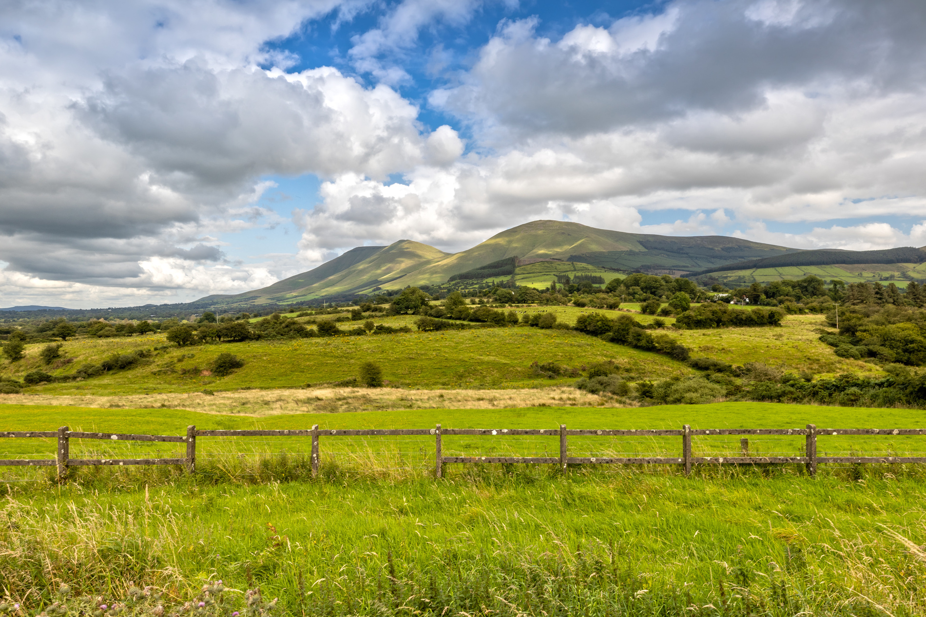 Paysages du comté de Tipperary