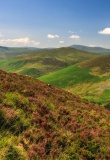 Montagnes de Wicklow, Sally Gap