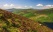 Montagnes de Wicklow, Sally Gap