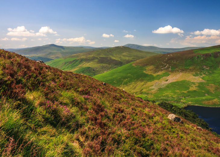 Montagnes de Wicklow, Sally Gap