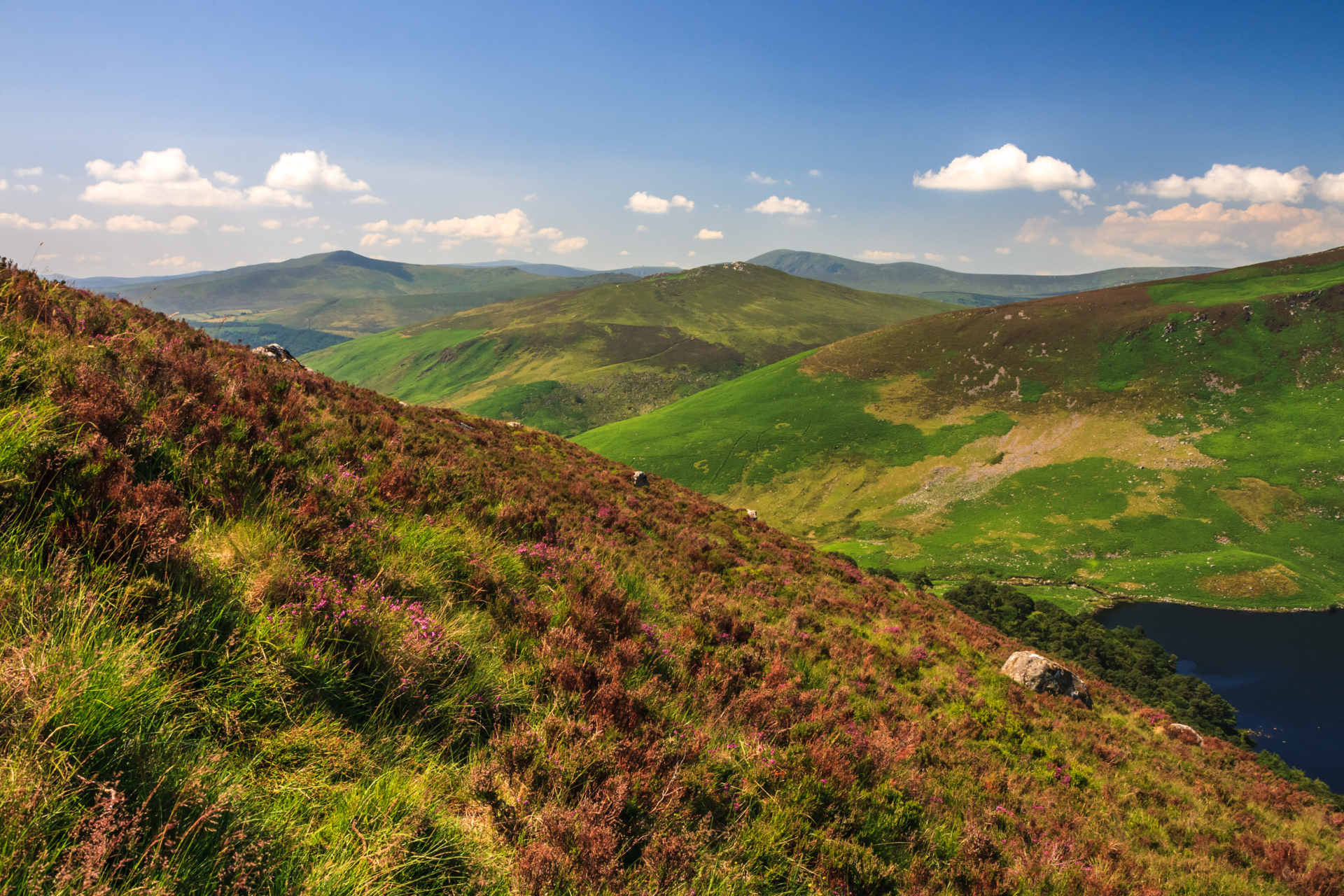 Montagnes de Wicklow, Sally Gap