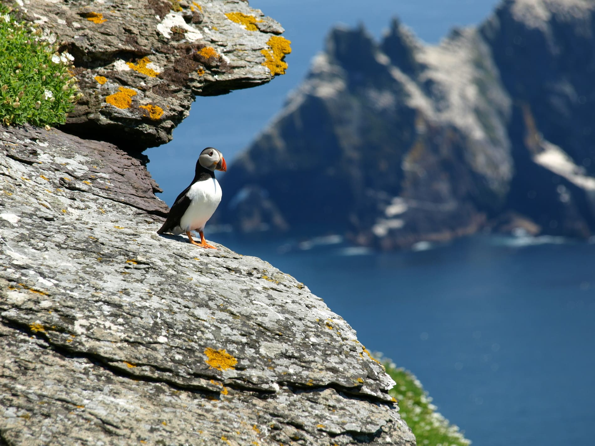 tout-savoir-irlande