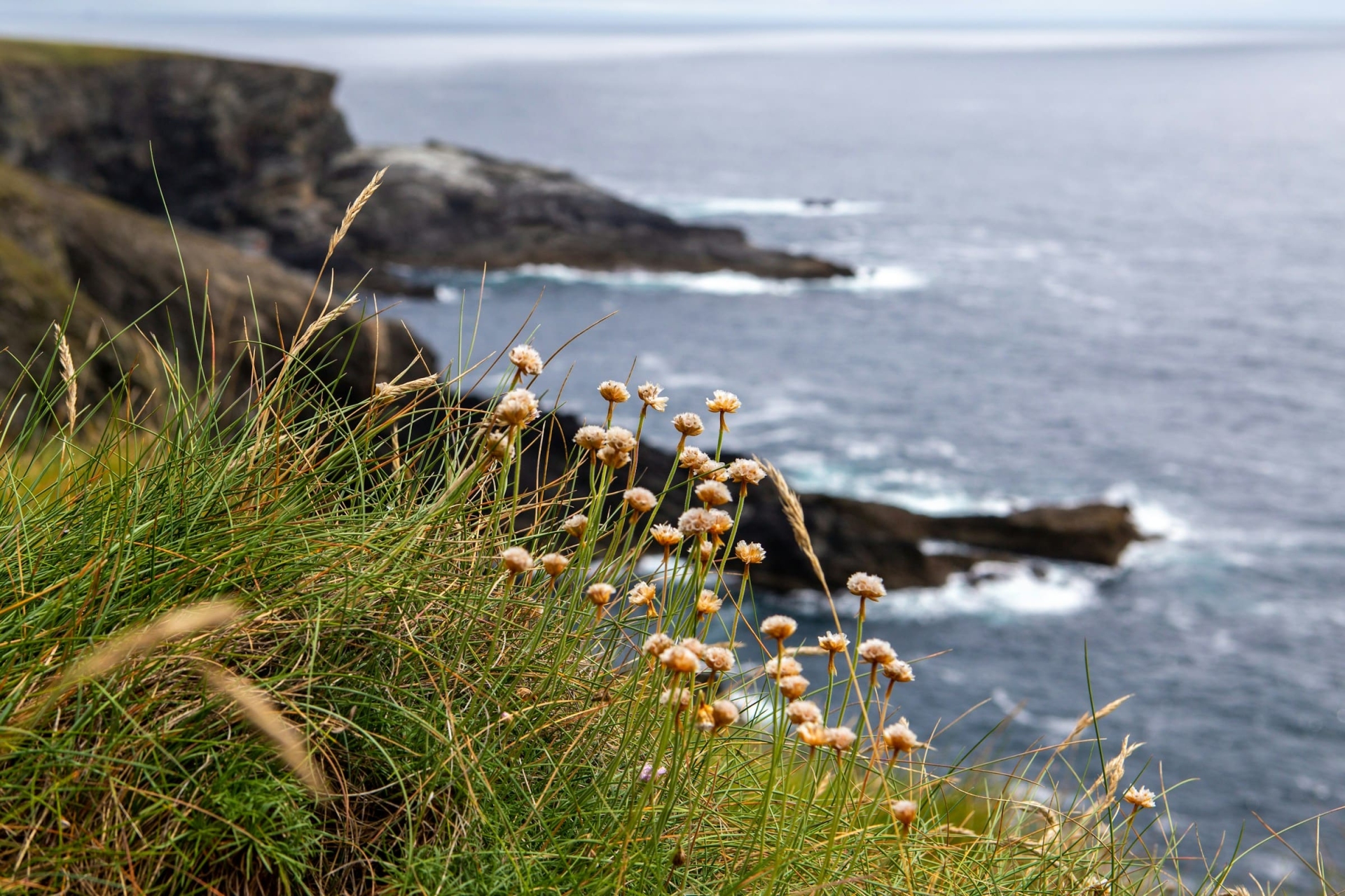 Envies de voyage Irlande
