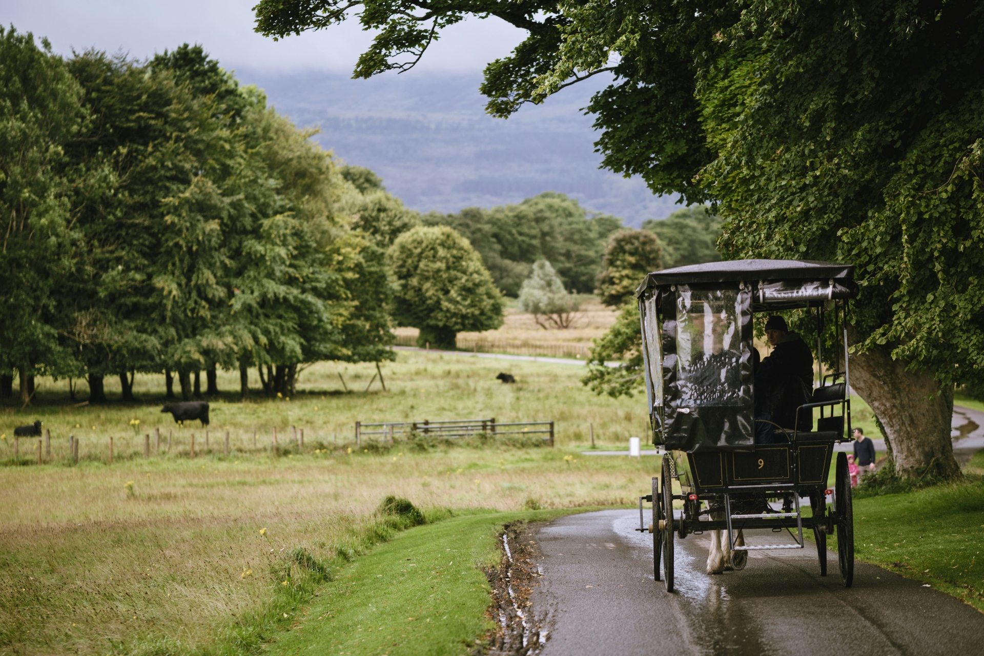 En chemin à Killarney