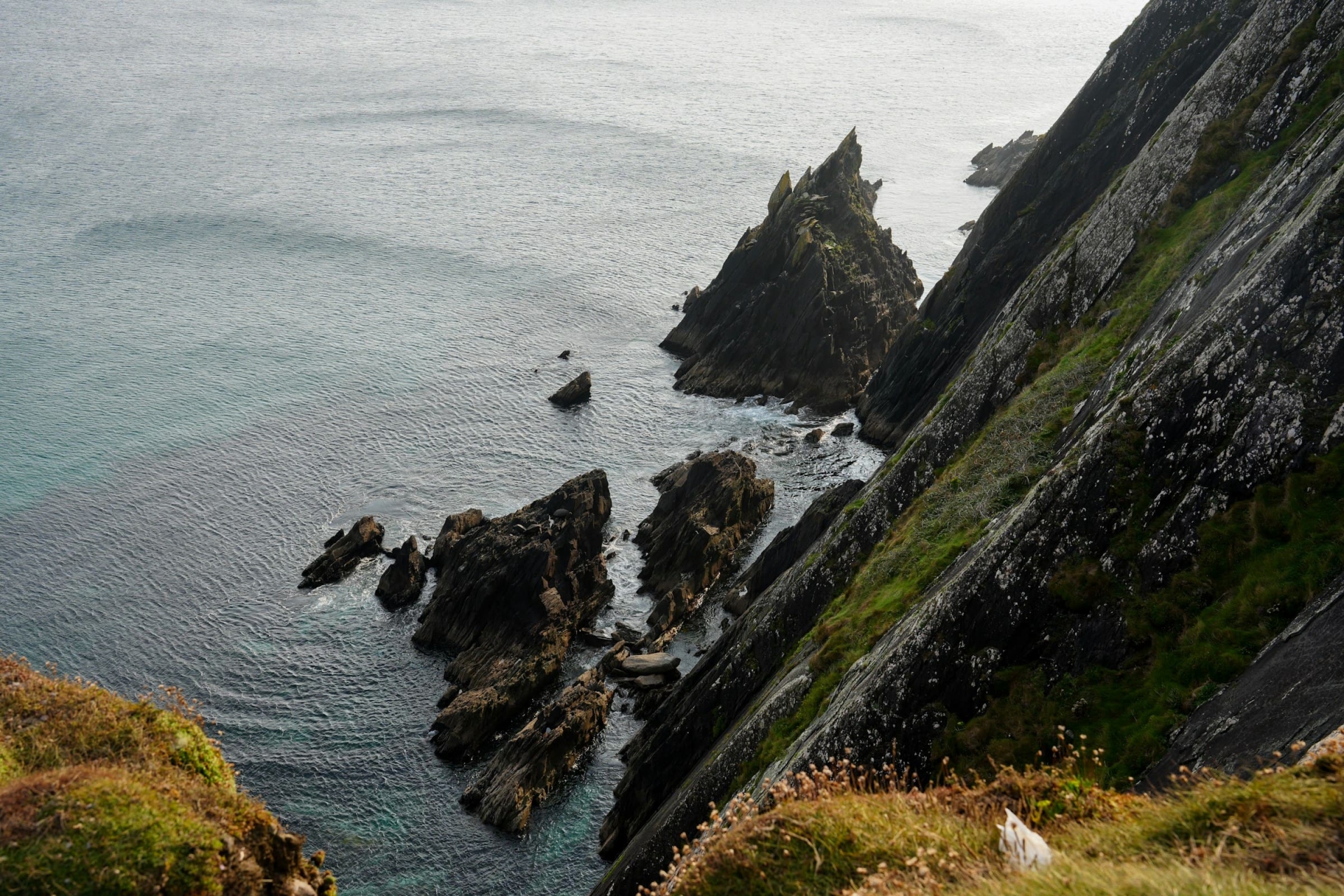 Voyage Cork