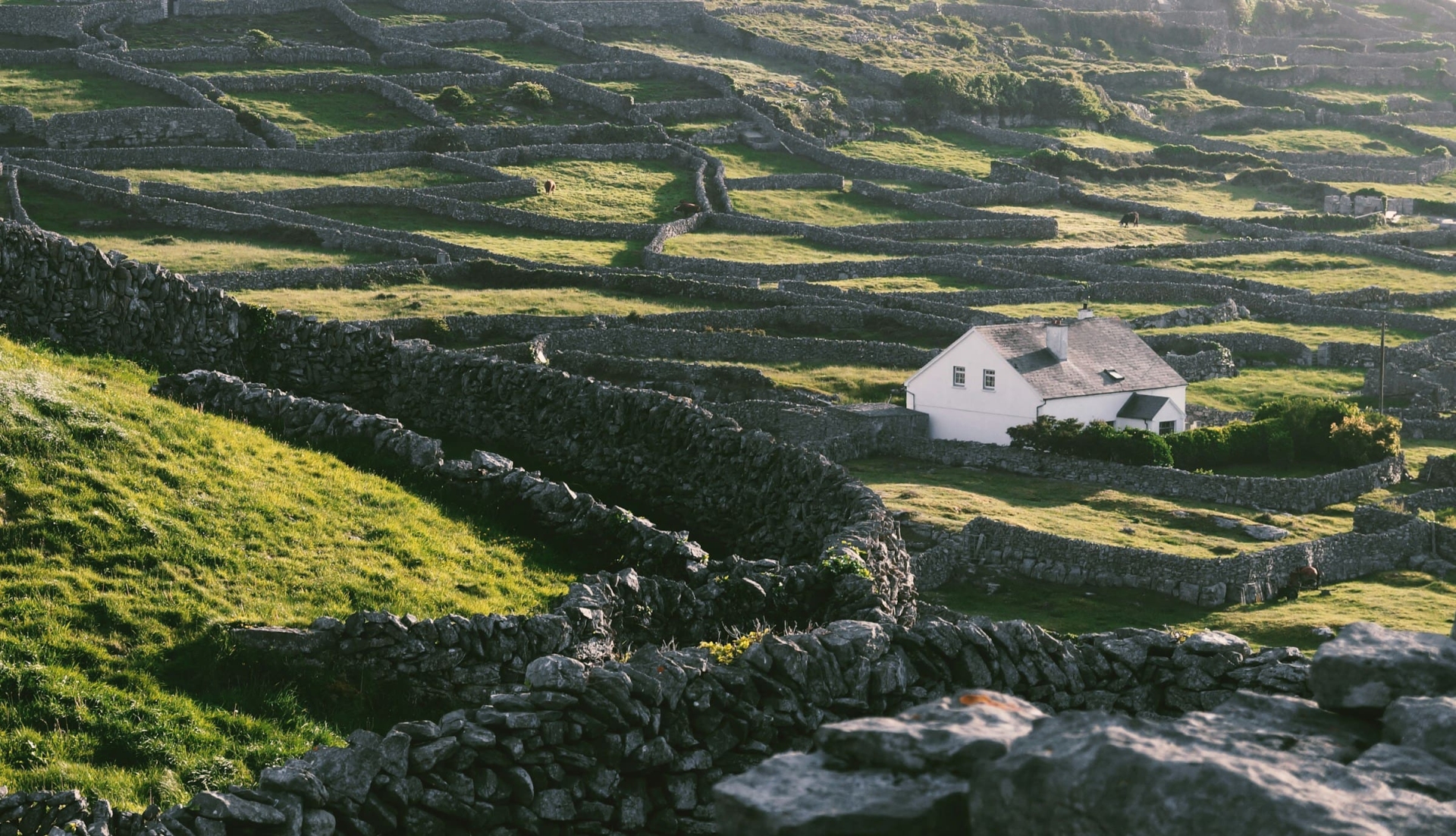 Voyage sur mesure Irlande
